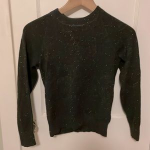 Everlane cashmere shrunken sweatshirt